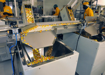 Production-Photo-by-Nestle-5410107101_508e3da190_k-via-Unsplash-aec85f80.jpg