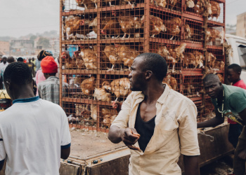 social-income-SCWeHQIXrIg-unsplash-f0dc9723.jpg